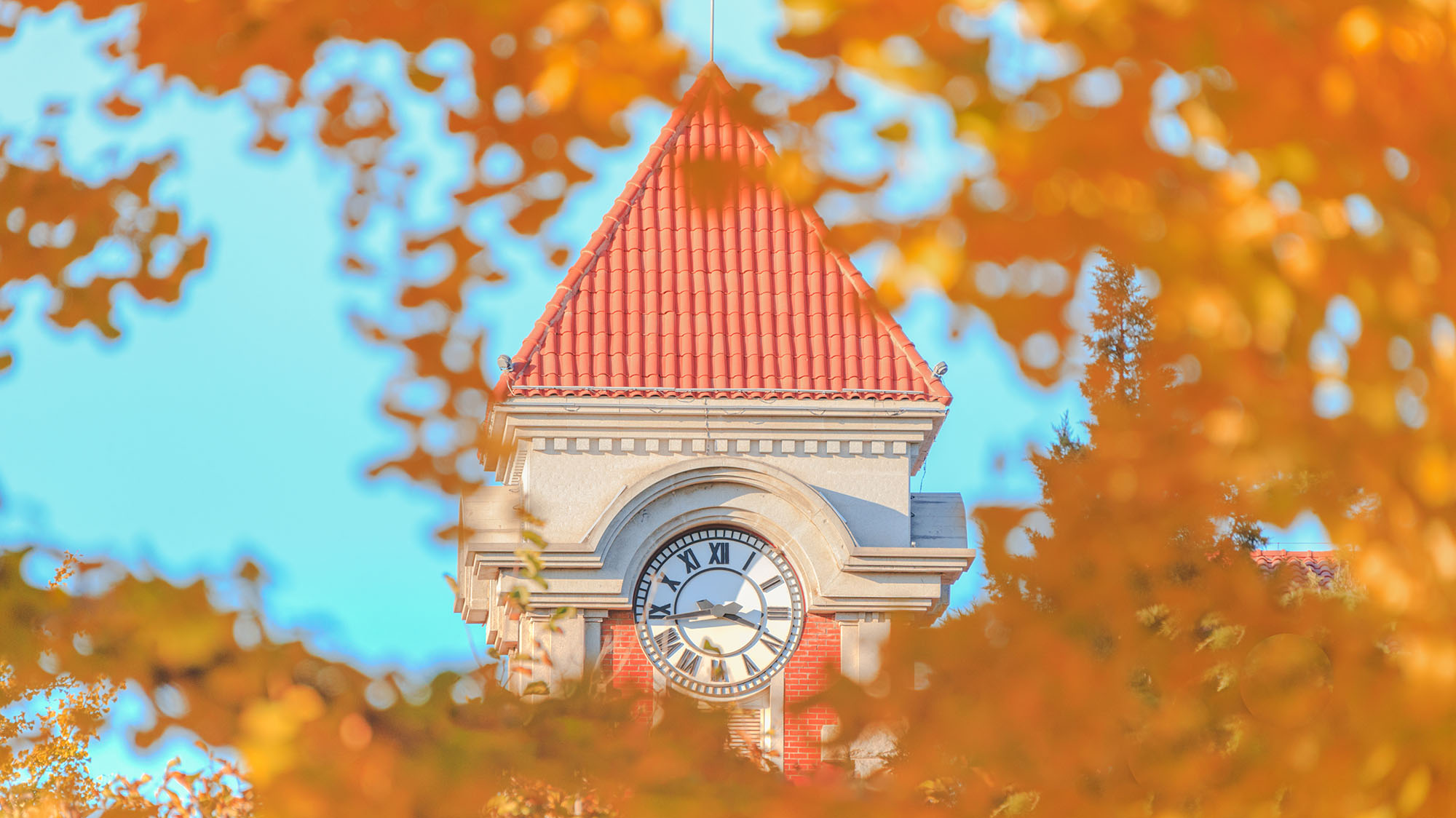 mansion88·明升(中国集团)官方网站